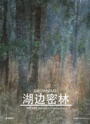 蘋(píng)果范冰冰bd高清